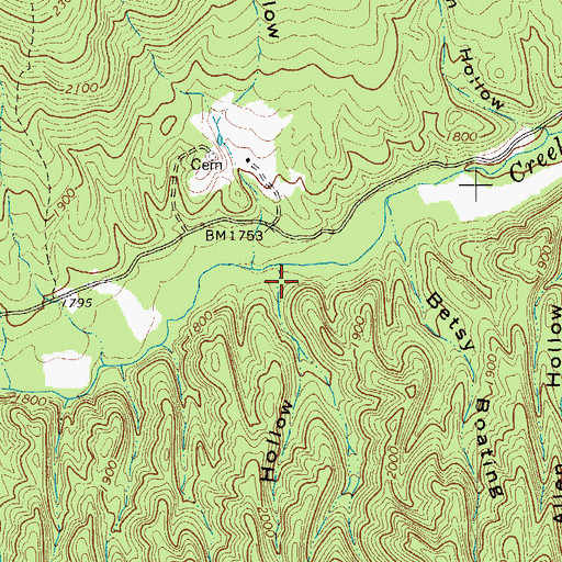 Topographic Map of Hazelnut Hollow, VA