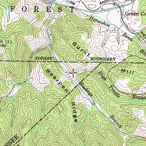 Topographic Map of High Trestle Branch, VA