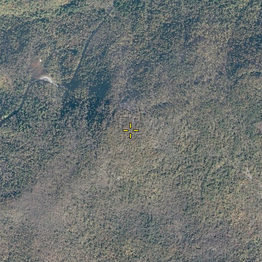 Aerial/Satellite Image of Hightop, VA