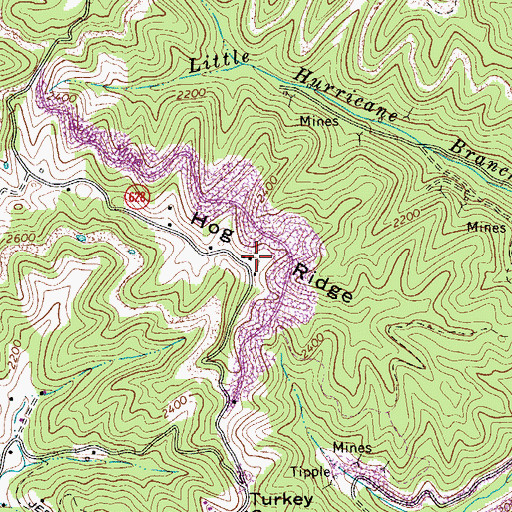 Topographic Map of Hog Ridge, VA