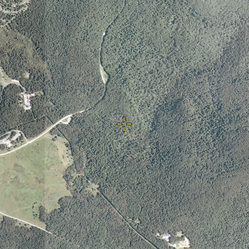 Aerial/Satellite Image of Hogcamp Trail, VA