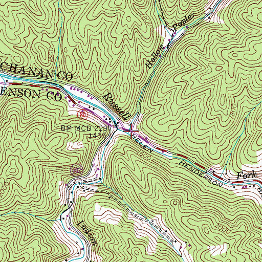 Topographic Map of Hollow Poplar Branch, VA