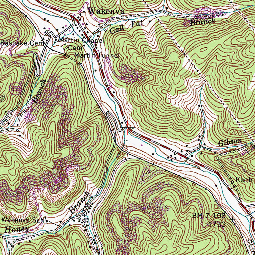 Topographic Map of Honey Branch, VA