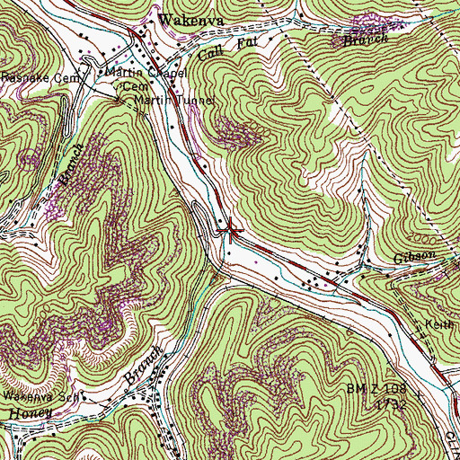 Topographic Map of Honey Branch, VA