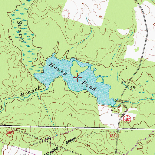 Topographic Map of Honey Pond, VA