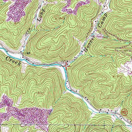 Topographic Map of Hoover Camp Branch, VA