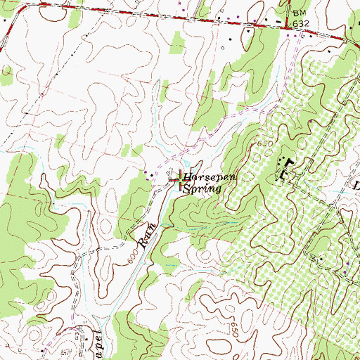 Topographic Map of Horsepen Spring, VA