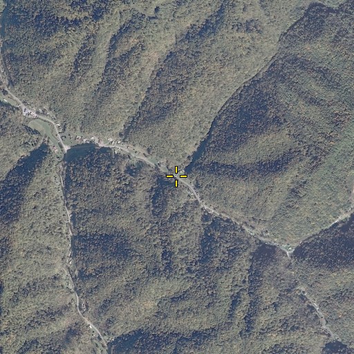 Aerial/Satellite Image of Hulen Branch, VA