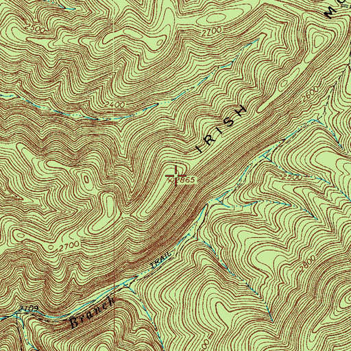 Topographic Map of Irish Mountain, VA