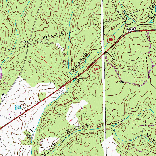 Topographic Map of Iron Branch, VA