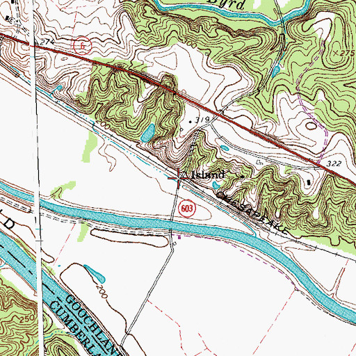 Topographic Map of Island, VA