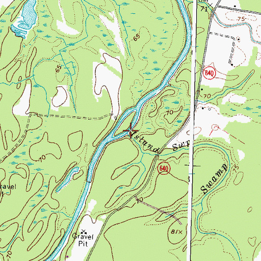 Topographic Map of Island Swamp, VA