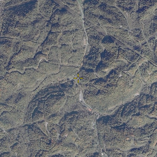 Aerial/Satellite Image of Jackson Branch, VA