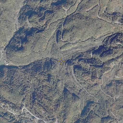 Aerial/Satellite Image of Jackson Fork, VA