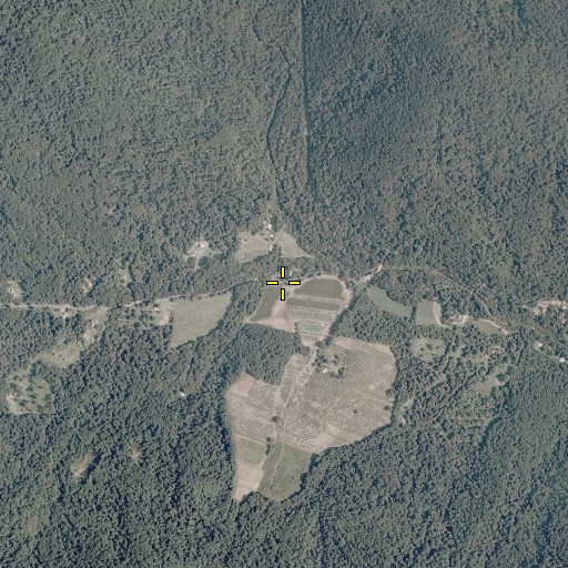 Aerial/Satellite Image of Jemima Branch, VA