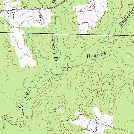 Topographic Map of Jennies Branch, VA