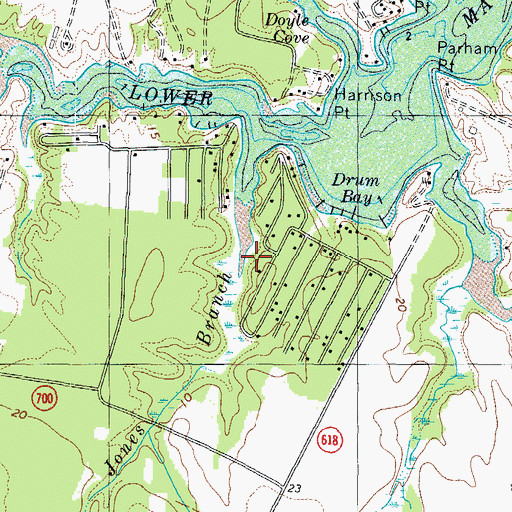 Topographic Map of Jones Branch, VA