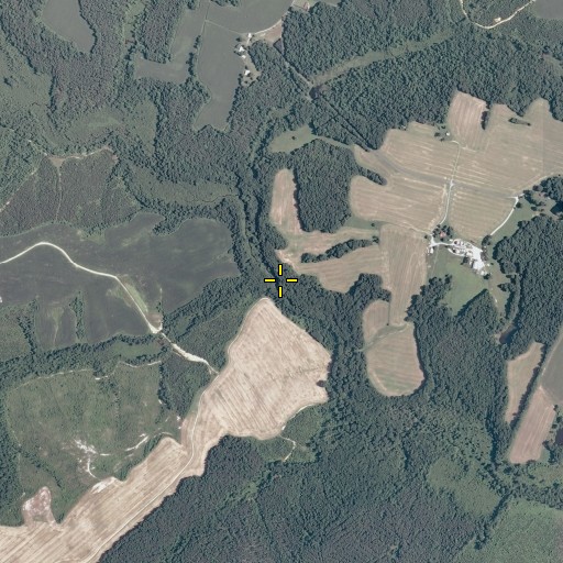 Aerial/Satellite Image of Jones Run, VA