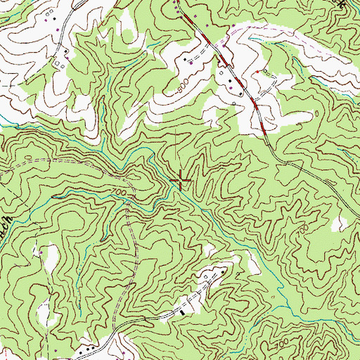 Topographic Map of Jumping Branch, VA