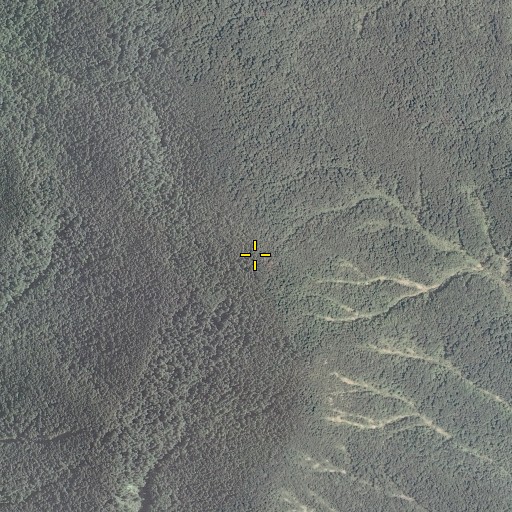 Aerial/Satellite Image of Kirtley Mountain, VA
