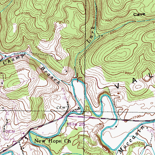 Topographic Map of Lark Branch, VA