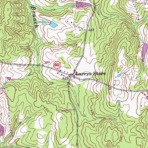 Topographic Map of Larrys Store, VA
