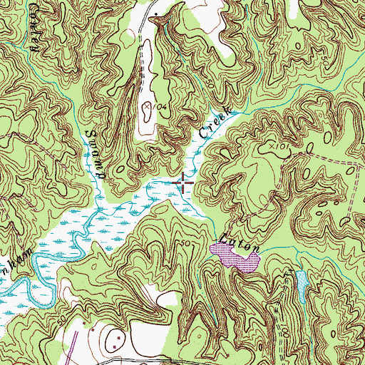 Topographic Map of Laton Swamp, VA