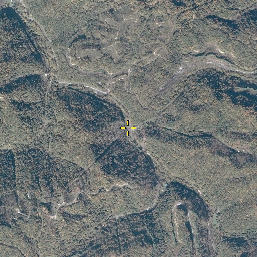 Aerial/Satellite Image of Laurel Branch, VA