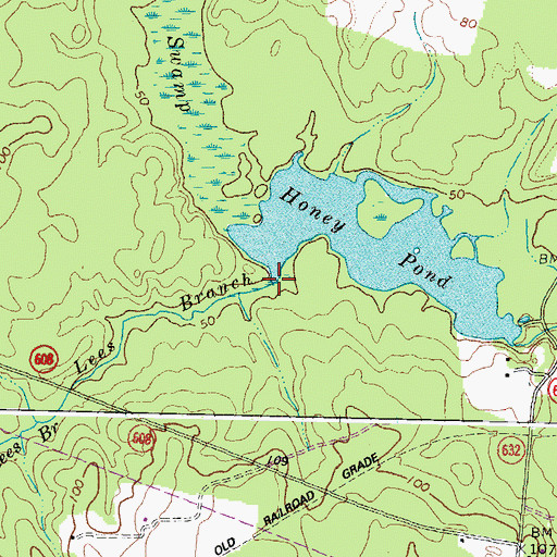 Topographic Map of Lees Branch, VA
