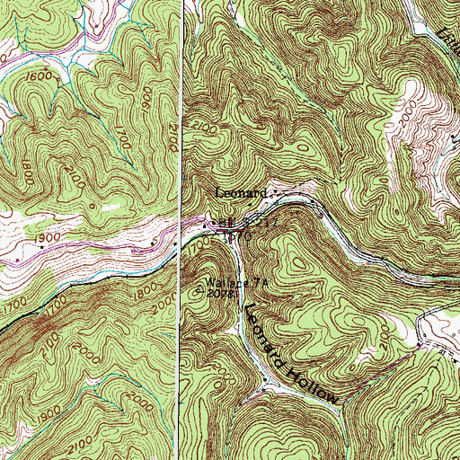 Topographic Map of Leonard Hollow, VA