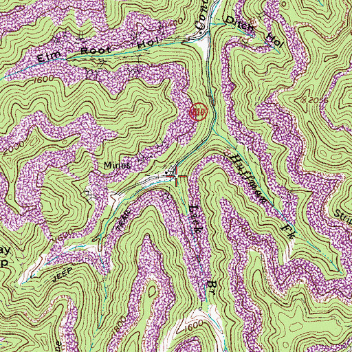 Topographic Map of Lick Branch, VA