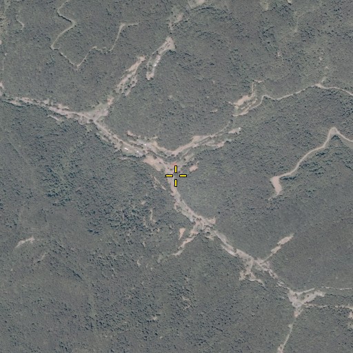 Aerial/Satellite Image of Lick Branch, VA