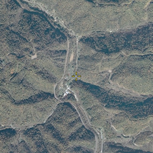 Aerial/Satellite Image of Licklog Branch, VA