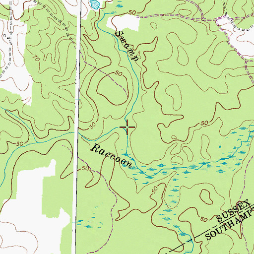 Topographic Map of Little Swamp, VA