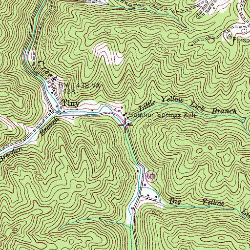 Topographic Map of Little Yellow Lick Branch, VA