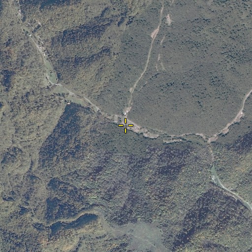 Aerial/Satellite Image of Long Bottom Branch, VA