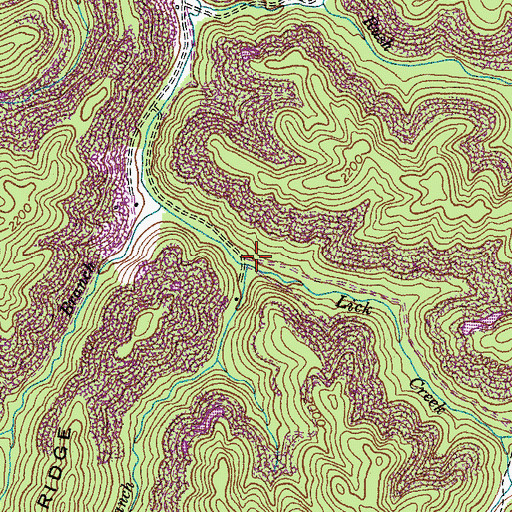 Topographic Map of Long Branch, VA