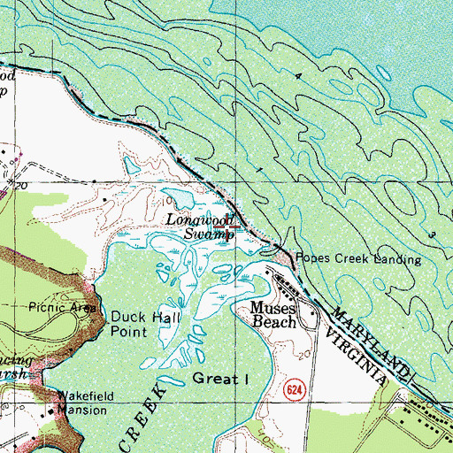 Topographic Map of Longwood Swamp, VA