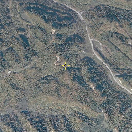 Aerial/Satellite Image of Low Gap, VA