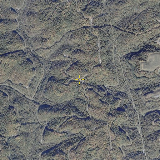 Aerial/Satellite Image of Low Gap, VA