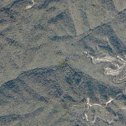 Aerial/Satellite Image of Low Gap Branch, VA
