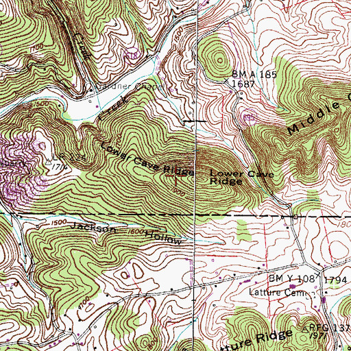Topographic Map of Lower Cave Ridge, VA