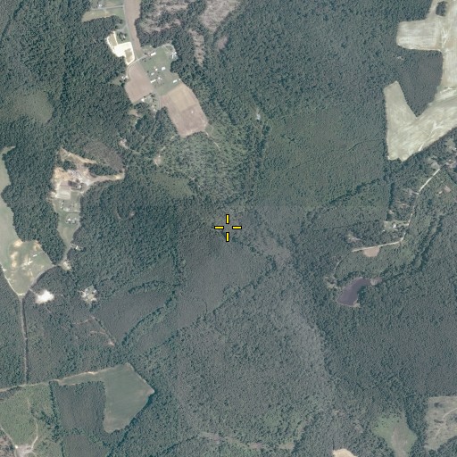 Aerial/Satellite Image of Marriner Run, VA