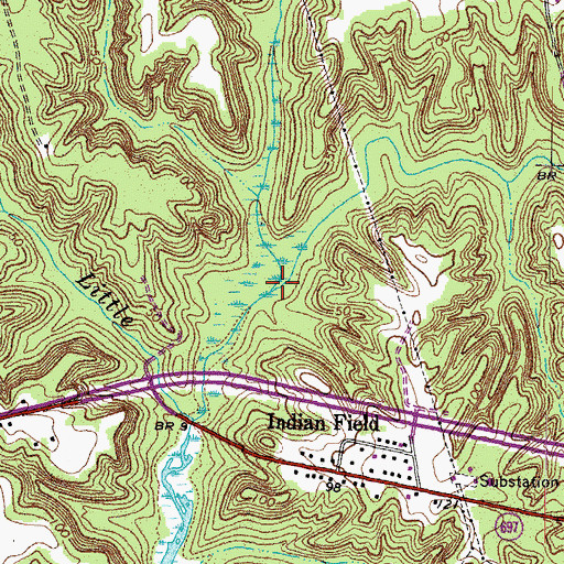 Topographic Map of Marshy Swamp, VA