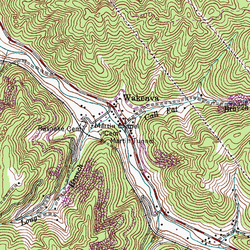 Topographic Map of Martin Chapel, VA