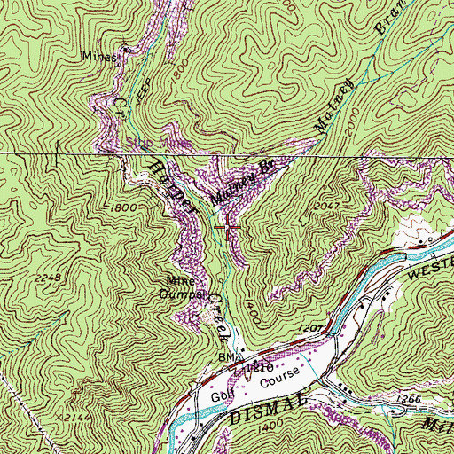 Topographic Map of Matney Branch, VA