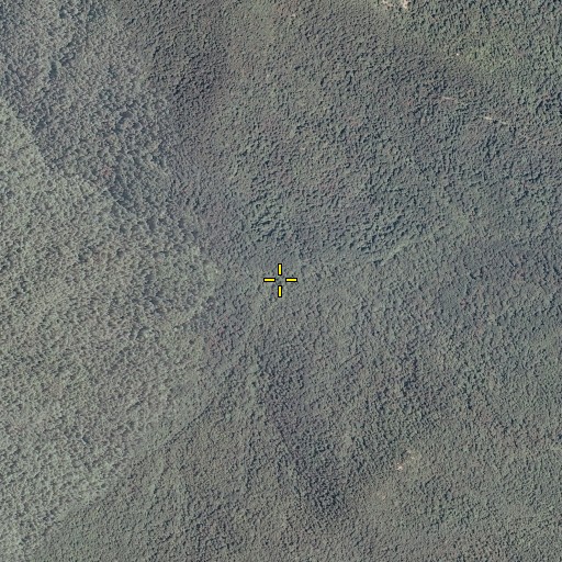 Aerial/Satellite Image of McDaniel Hollow, VA
