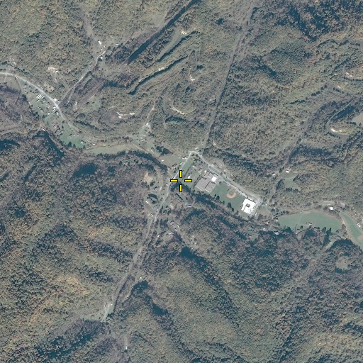 Aerial/Satellite Image of McFarlane Branch, VA