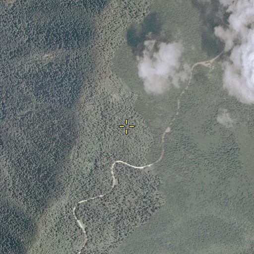 Aerial/Satellite Image of Meadow Spring Trail, VA