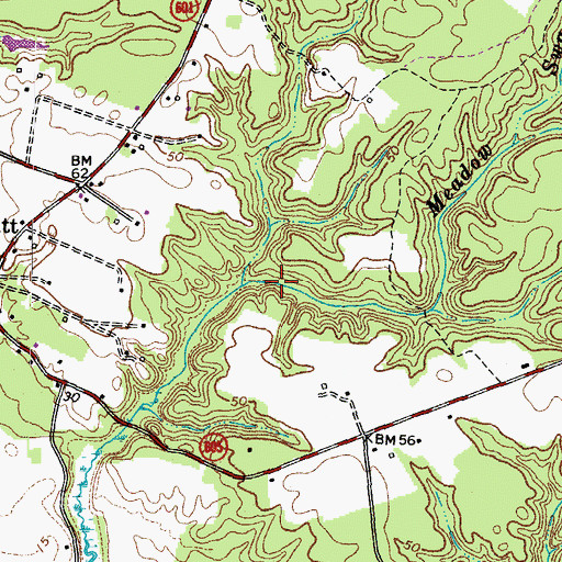 Topographic Map of Meadow Swamp, VA